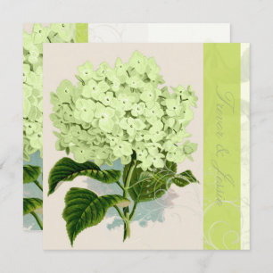 PixDezines Vintages grünes Hydrangea Einladung