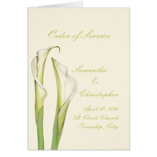 PixDezines weiße Calla-Lilien/DIY-Hintergrund