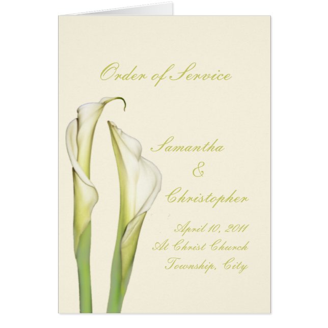 PixDezines weißer Calla-Lilies/dunkler Hintergrund (Vorne)