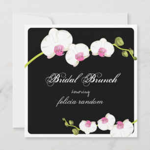 PixDezinesOrchid/Bridal-Brunch/DJ-Hintergrund Einladung