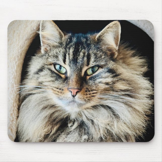 Pixie Mousepad (Vorne)