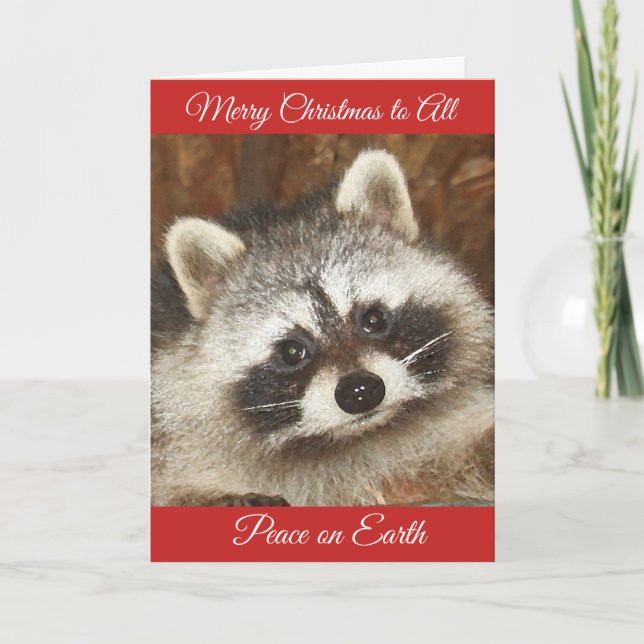 Pixie Raccoon Weihnachtsgrüße Weihnachtskarte Feiertagskarte (Vorderseite)