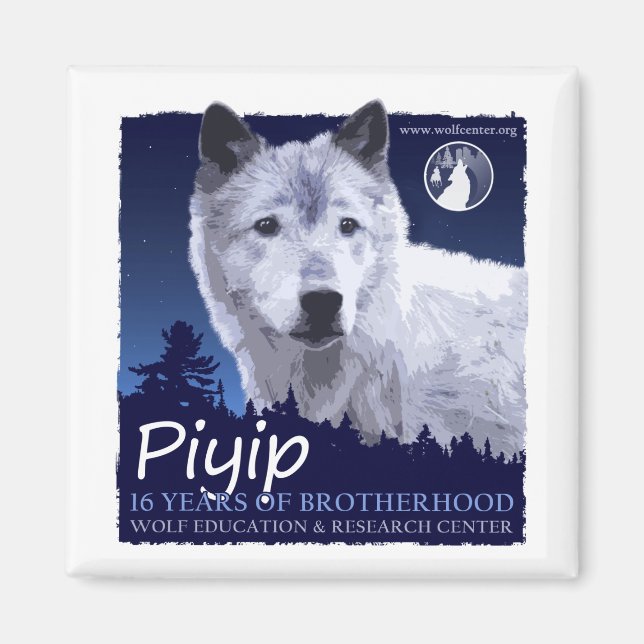 Piyip Magnet (Vorne)