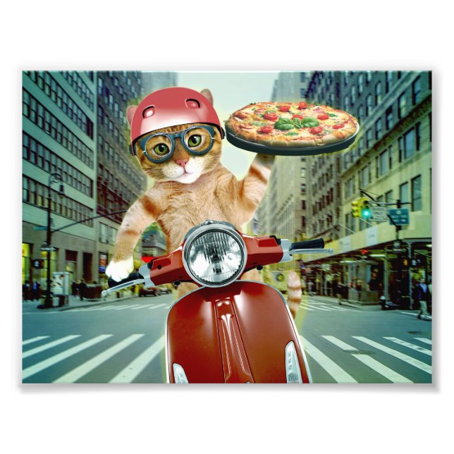 Pizza cat - Katze - Pizzeria Fotodruck (Vorne)