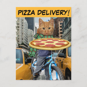 PIZZA LIEFERT! KATZE POSTCARDS POSTKARTE