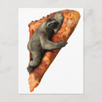 Pizza Sloth