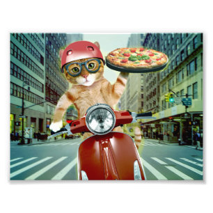 Pizzakatze - Katze - Pizzalieferung Fotodruck