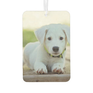 Pkw-Foto-Freshener individuell anpassen Autolufterfrischer