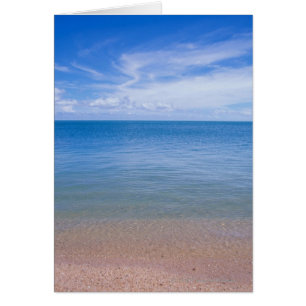 Plage à marée basse