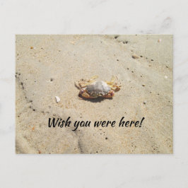 Plage avec carte postale de crabe