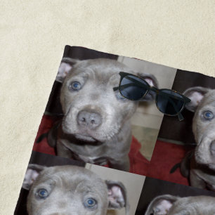 Plage Blue Staffordshire Terrier Chiot, Serviette de pla