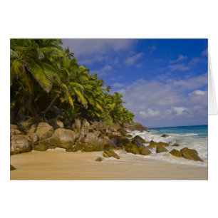 Plage d'Anse Victorin 4
