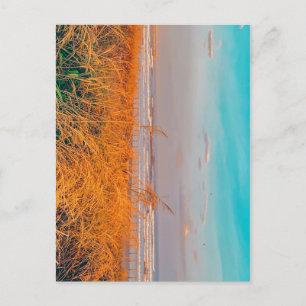 Plage de cartes postales
