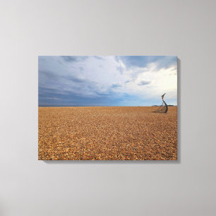 Plage de Hastings vue panoramique toile imprimé