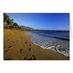 Plage de Kaanapali, Maui, Hawaii, États-Unis