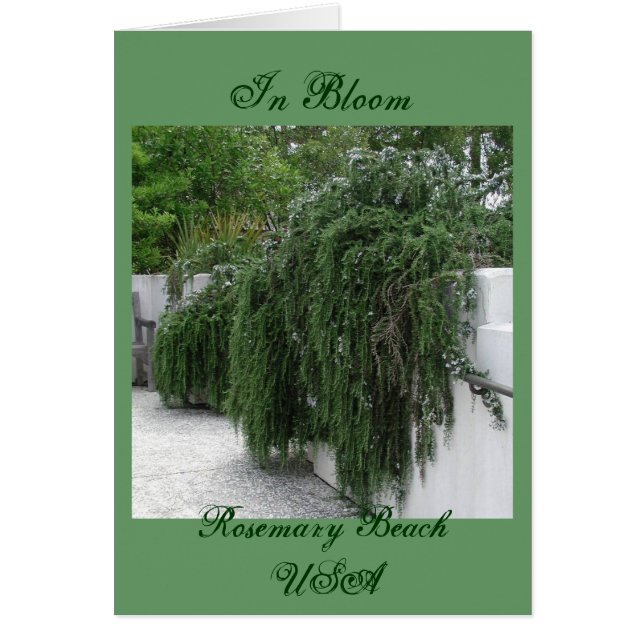 Plage de Rosemary, Rosemary (Devant)