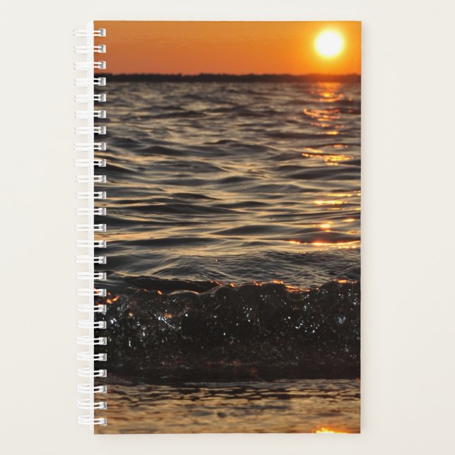 plage de soleil (Devant)