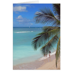 Plage de Waikiki
