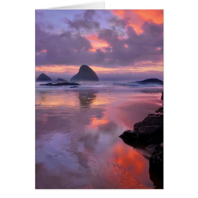 Plage et stacks de l'Oregon, coucher de soleil (Devant)