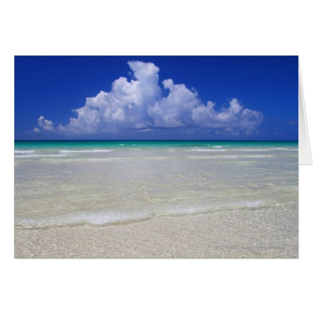 Plage lumineuse (Devant horizontal)