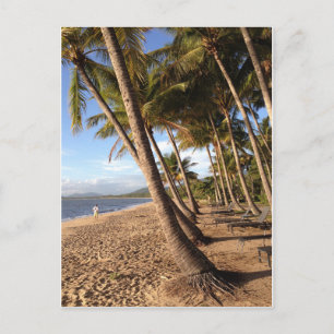 plage, palmiers à Palm Cove carte postale