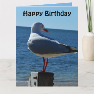 Plage Sea Gull, Jumbo Carte d'anniversaire