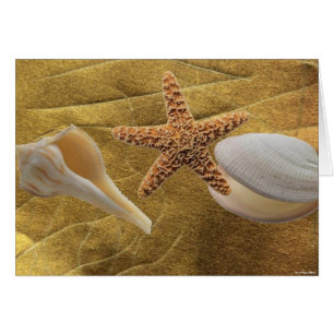 Plage - Sea Shell - Carte