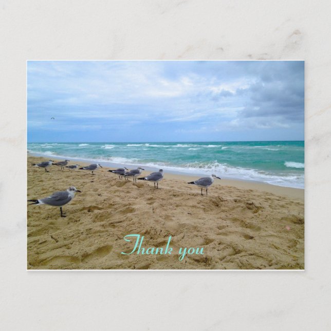 Plage Seagull merci carte postale (Devant)
