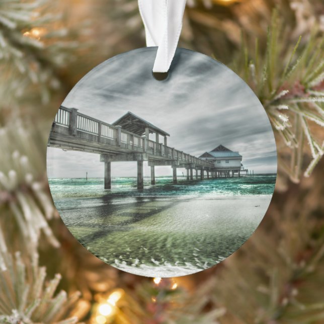 Plages tropicales | Clearwater Floride (Arbre)