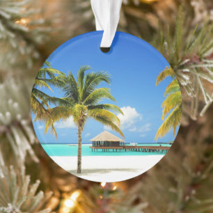Plages tropicales   Île et lagon, Maldives