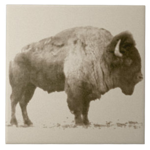 Plains Bison Fliese