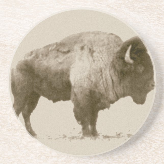 Plains Bison Sandstein Untersetzer (Vorne)