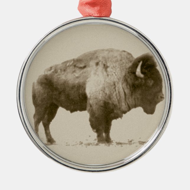 Plains Bison Silbernes Ornament (Vorne)