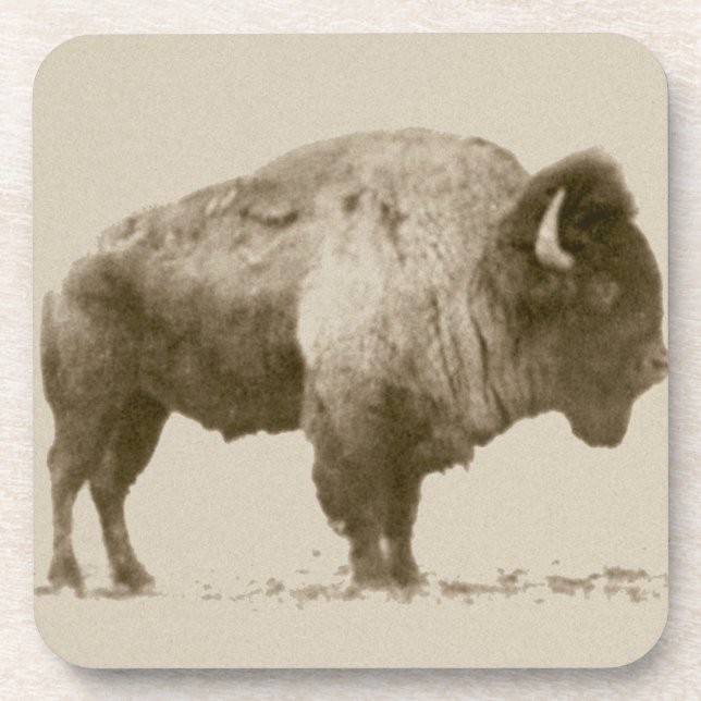 Plains Bison Untersetzer (Vorderseite)