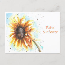 Plains Sunflower Post Card Postkarte