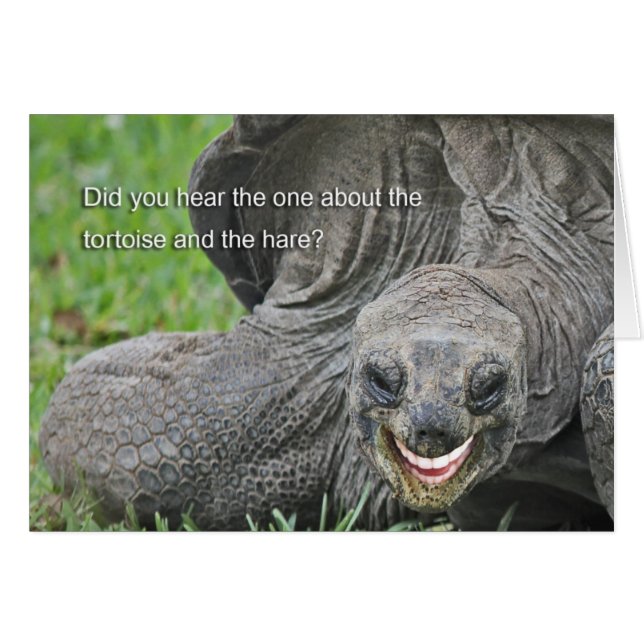 Plaisanterie de tortue souriante (Devant Horizontal)