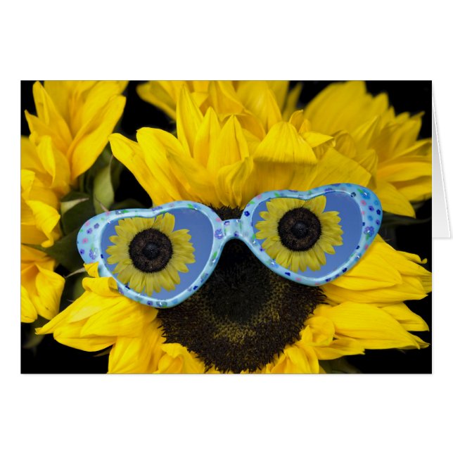 Plaisir Au Soleil (Devant Horizontal)