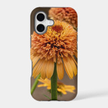 Plaisir aux fleurs orange