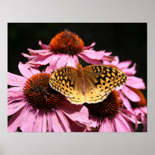Plakat 19x15 "