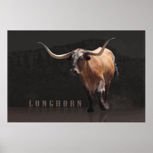 Plakat -36x24 - andere Größen des Longhorn-Power-H