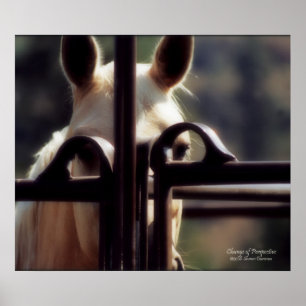 Plakat, Änderung der Perspektive, Pferd, Poster