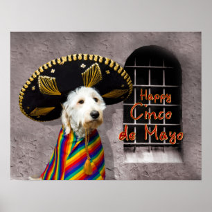 Plakat Cinco Des Mayo - Hund im Sombrero - Spaß