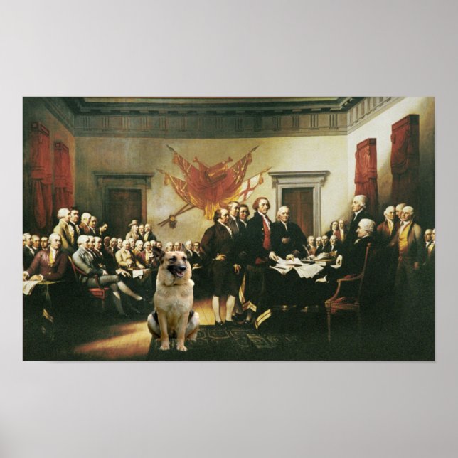 Plakat der deutschen Schäfererklärung (Vorne)