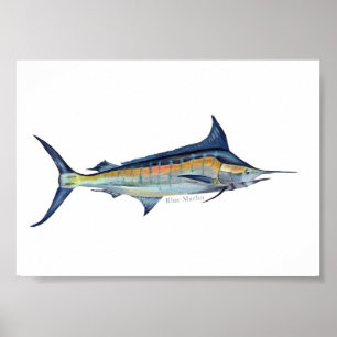 Plakat des blauen Speerfisches
