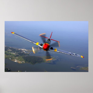 Plakat des Mustang-P-51