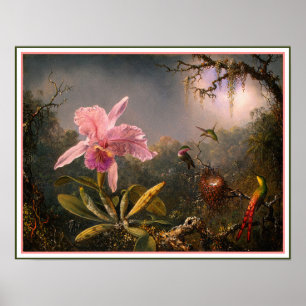 Plakat/Druck: Orchidee und Kolibris Poster