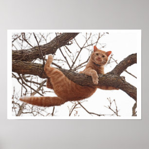 Plakat einer Katze ungefähr, zum von einem Baum