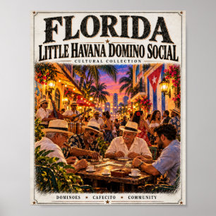 Plakat für Florida Springs Paddle Picknick