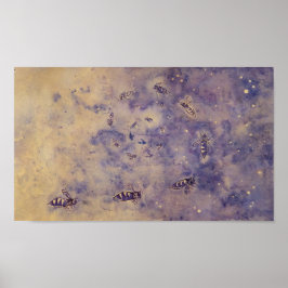 Plakat für Weltraumbienen