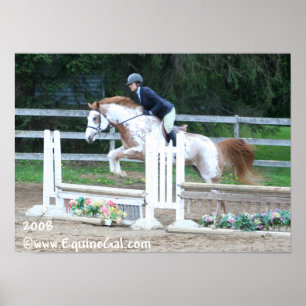 Plakat Img-1193